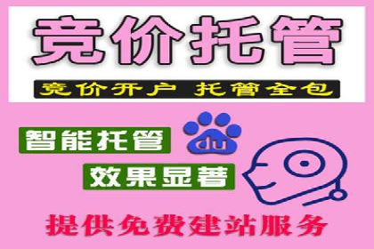 高效百度竞价推广代运营实战案例